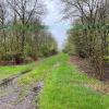 Groeneweg ong  Daarle