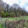 Groeneweg ong  Daarle