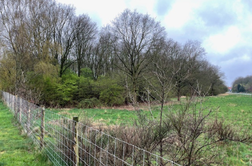 Groeneweg ong Daarle