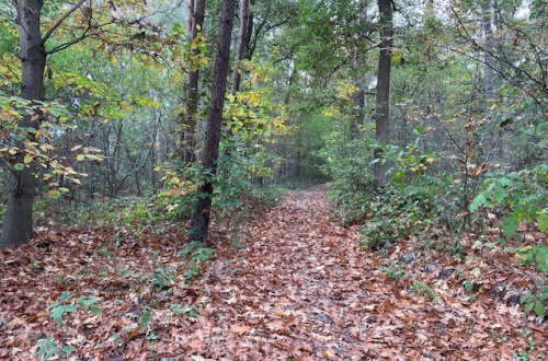 Landmansweg ong  Holten
